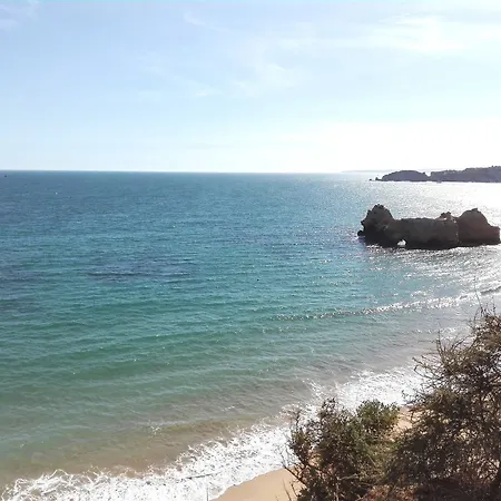Sunny In Da Rocha Portimao